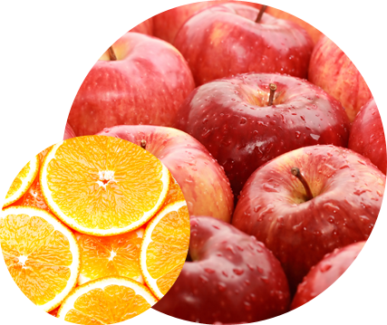 Welcome to our store! Lorem ipsum dolor sit amet conse ctetur adipisicing elit, sed do eiusmod tempor incididunt ut labore et dolore magna aliqua. Ut enim ad minim veniam, quis nostrud exercitation ullamco laboris nisi ut aliquip ex ea commodo consequat. Duis aute irure dolor in reprehenderit in voluptate velit esse cillum dolore eu fugiat nulla pariatur. Excepteur sint occaecat cupidatat non proident, sunt in culpa qui officia deserunt mollit anim id est laborum. Lorem ipsum dolor sit amet conse ctetur adipisicing elit, sed do eiusmod tempor.