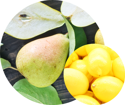 About us Lorem ipsum dolor sit amet conse ctetur adipisicing elit, sed do eiusmod tempor incididunt ut labore et dolore magna aliqua. Ut enim ad minim veniam, quis nostrud exercitation ullamco laboris nisi ut aliquip ex ea commodo consequat. Duis aute irure dolor in reprehenderit in voluptate velit esse cillum dolore eu fugiat nulla pariatur. Excepteur sint occaecat cupidatat non proident, sunt in culpa qui officia deserunt mollit anim id est laborum. Lorem ipsum dolor sit amet conse ctetur adipisicing elit, sed do eiusmod tempor.