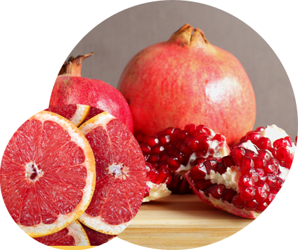 Events Lorem ipsum dolor sit amet conse ctetur adipisicing elit, sed do eiusmod tempor incididunt ut labore et dolore magna aliqua. Ut enim ad minim veniam, quis nostrud exercitation ullamco laboris nisi ut aliquip ex ea commodo consequat. Duis aute irure dolor in reprehenderit in voluptate velit esse cillum dolore eu fugiat nulla pariatur. Excepteur sint occaecat cupidatat non proident, sunt in culpa qui officia deserunt mollit anim id est laborum. Lorem ipsum dolor sit amet conse ctetur adipisicing elit, sed do eiusmod tempor.